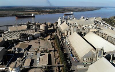 La nueva Vicentin suma pagos parciales a más de 1.000 acreedores en 12 de mayo de 2026 a las 19:46  en 12 de mayo de 2026 a las 19:46